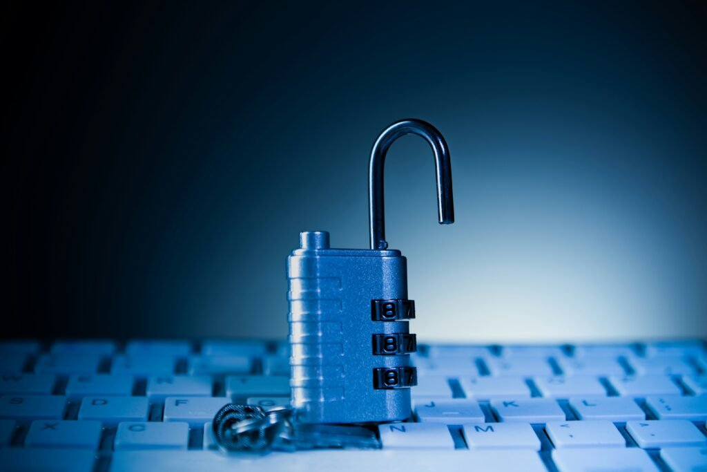 cyber security services in waikato